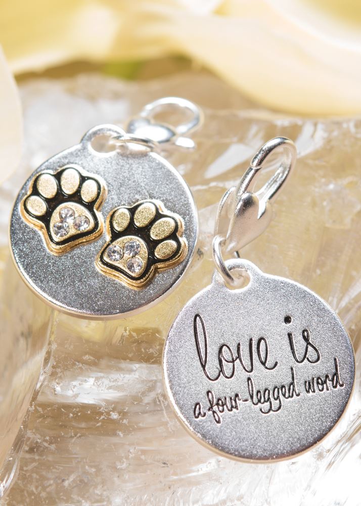 Silver 2-Tone Medallion - Paws, Pet