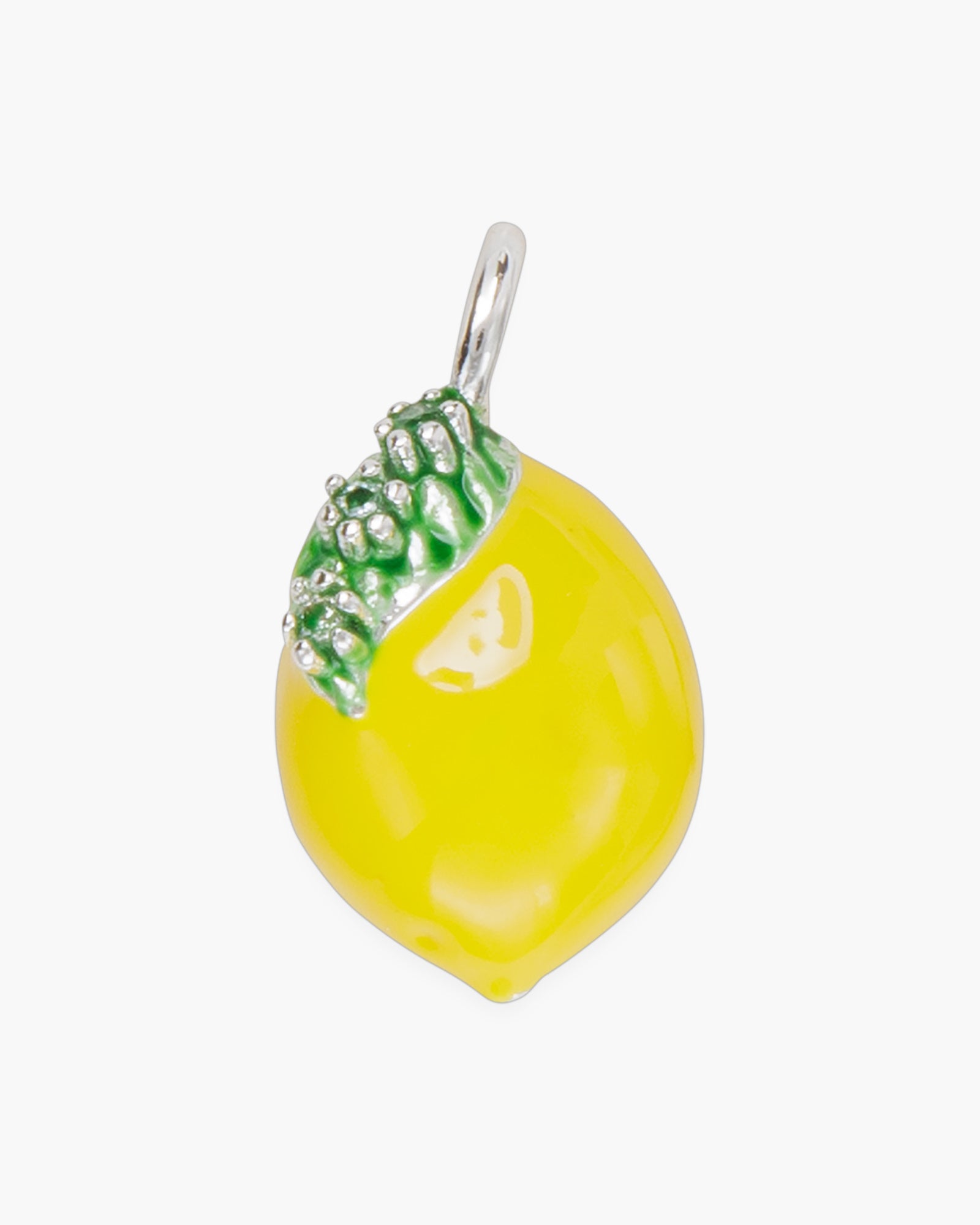 Kitchen & Garden Necklace and Bracelet Charms