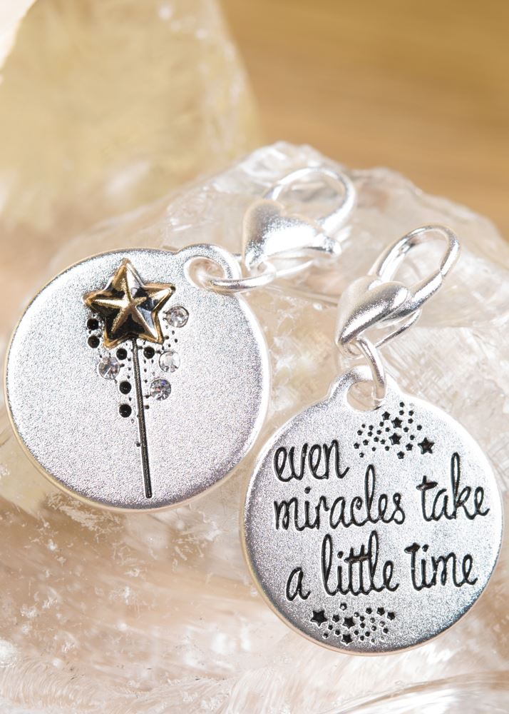 Silver 2-Tone Medallion - Fairy Godmother, Believe