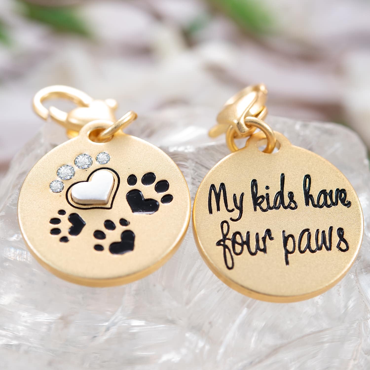 Gold 2-Tone Medallion - 4 Paws