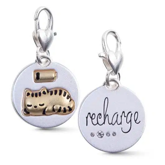 Nappy Cat Silver 2-Tone Medallion