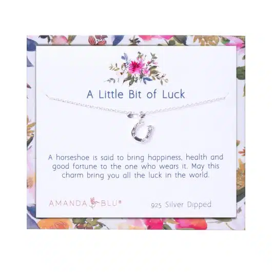 A Little bit of Luck Silver Charm Necklace