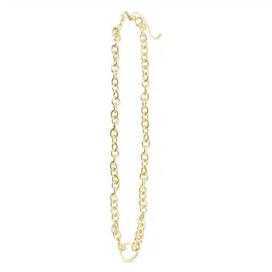 Charm Clasp Necklace